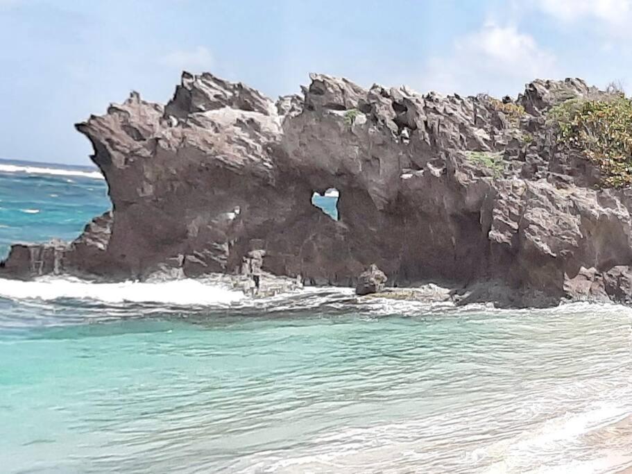 Superbe Studio, A 20 Metres De La Plage, Acces Direct Grande Plage Diamant Le Diamant Εξωτερικό φωτογραφία